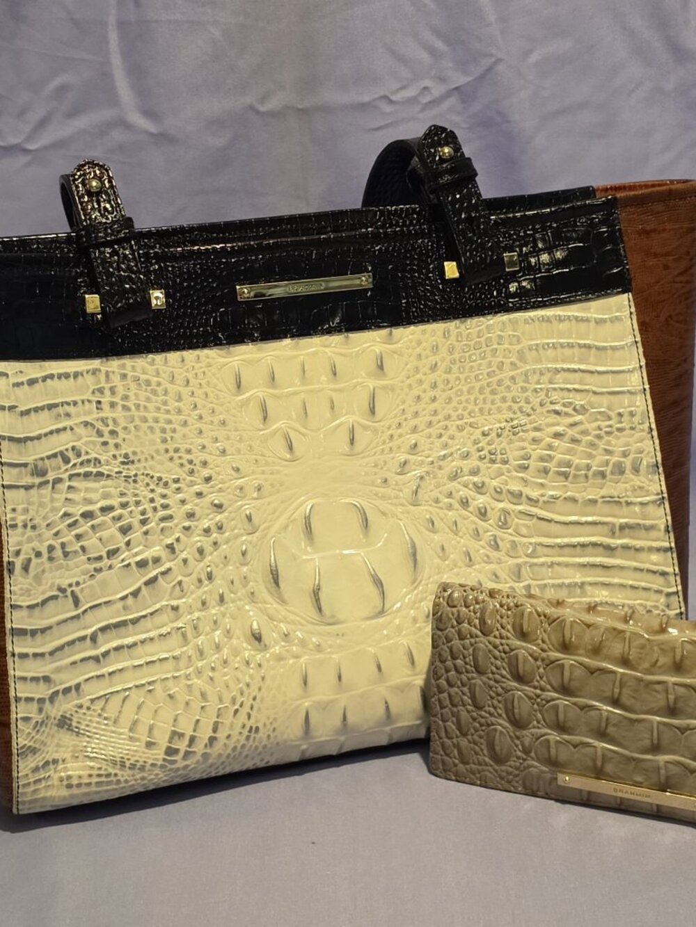 Brahmin Medium Asher & Ady Wallet Set